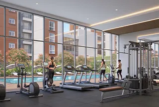 Gymnasium